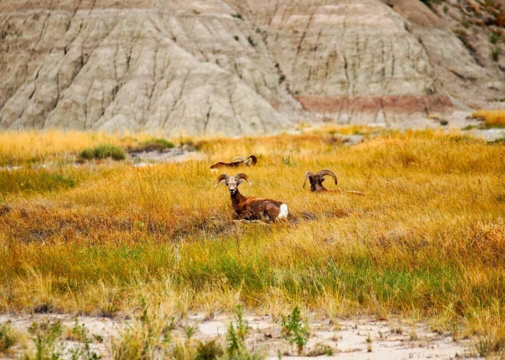 #1. South Dakota